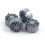NSR BBS Silver (4) NSR5425 1