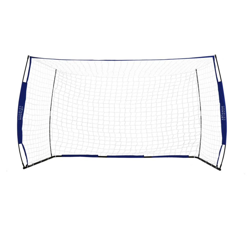 10x6ft Portable Foldable Blue Football Kick Goal With Carry Bag