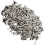 100pcs Guitar Pickguard Screws For Strat/Tele Guitar silver 3