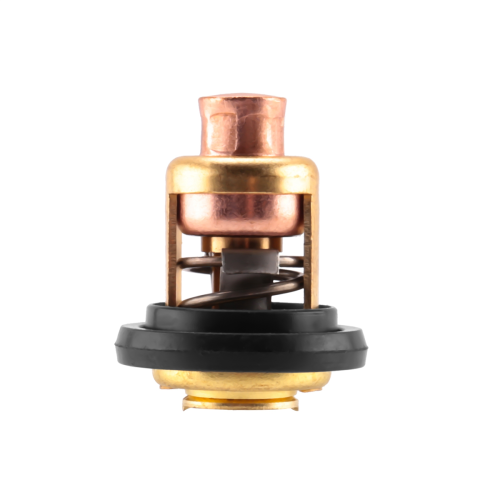 5005440 Termostato per Marine Evinrude