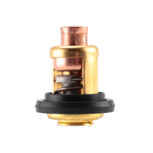 5005440 Termostato per Marine Evinrude 2