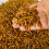Gardeners Dream GardenersDream Dried Mealworms (5L) 6