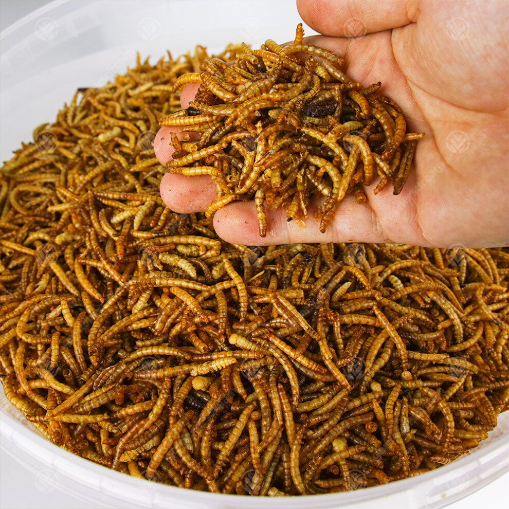 GardenersDream Dried Mealworms (5kg)