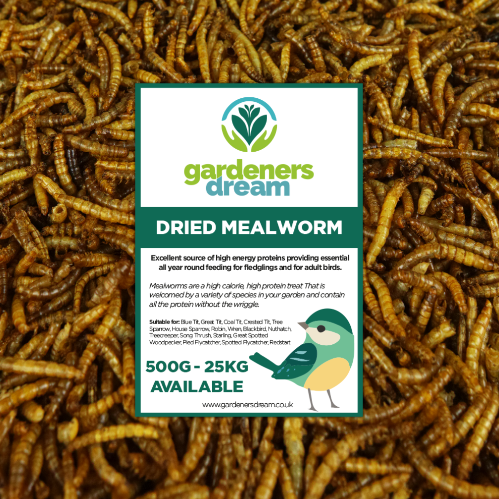 Gardeners Dream Gardenersdream Dried Mealworms - Nutritious Wild Garden Bird Food Treats Birds
