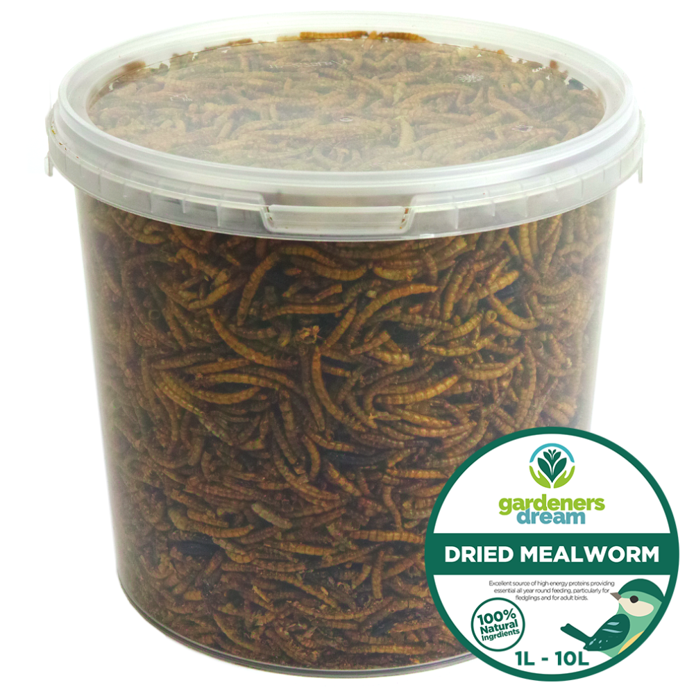 GardenersDream Dried Mealworms - Nutritious Wild Bird Food Treats 2.5L