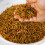 Gardeners Dream GardenersDream Dried Mealworms (2kg) 2