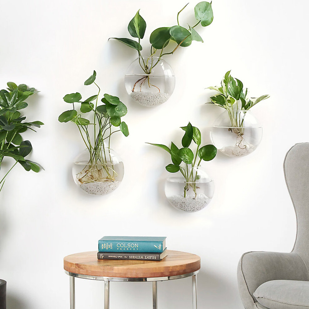 (15cm W x 15cm H) 4Pcs Wall Hanging Glass Terrariums