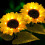 2 Pack Sunflower Solar lights,Solar Lights Outdoor Garden 2