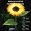 2 Pack Sunflower Solar lights,Solar Lights Outdoor Garden 4