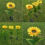 2 Pack Sunflower Solar lights,Solar Lights Outdoor Garden 8