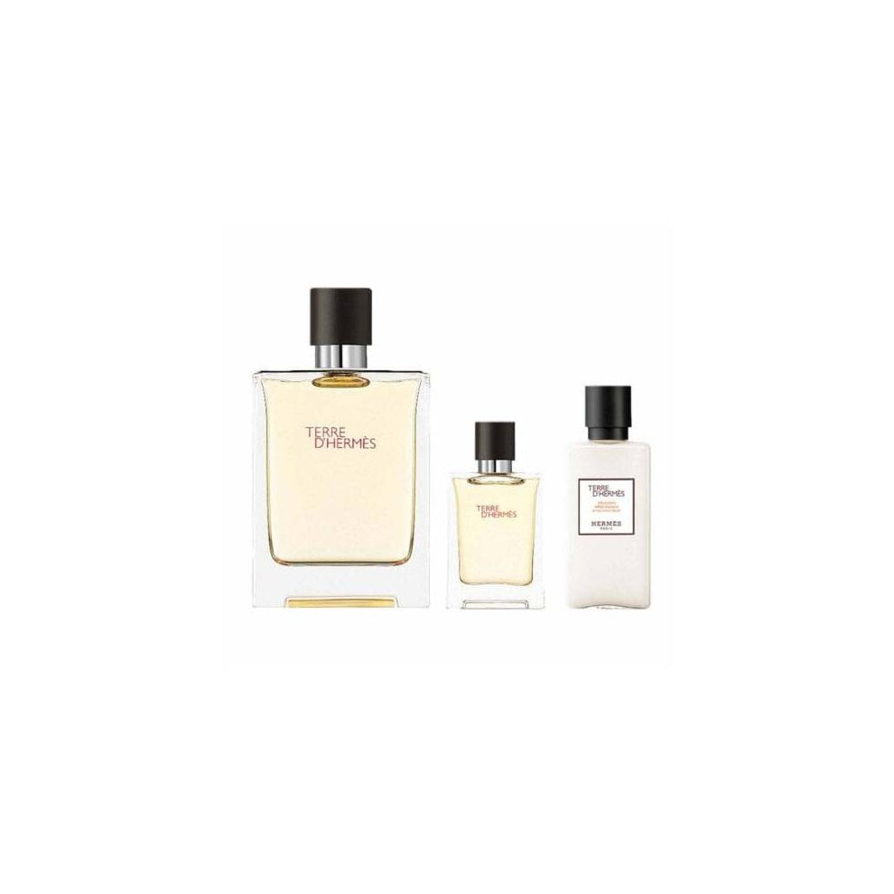Hermes Terre d'Hermes Gift Set 100ml EDT Spray + 12.5ml EDT Spray + 40ml Aftershave Balm
