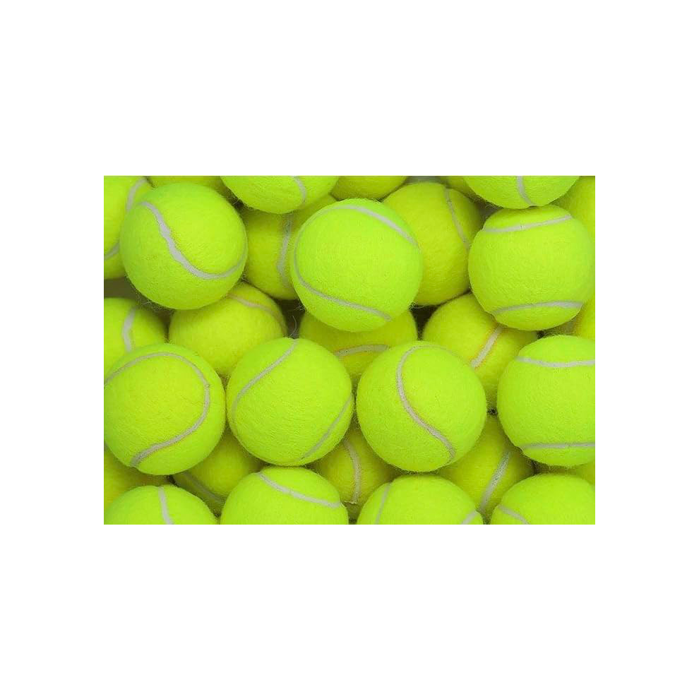 NM BEAUTY Professional Tennis Balls for Pets, Training ball- Pack of 6