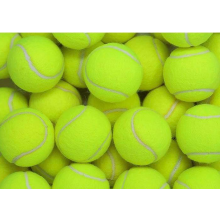 NM BEAUTY Professional Tennis Balls for Pets, Training balls- 12PCS