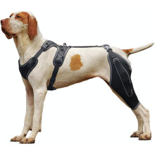 (XL) Dog Knee Brace for Torn Acl Hind Leg,luxating Patella,Arthritis,Dog Acl Knee Brace with Metal Splint Hinged Support for CCL, Dog Knee Brace(XL)