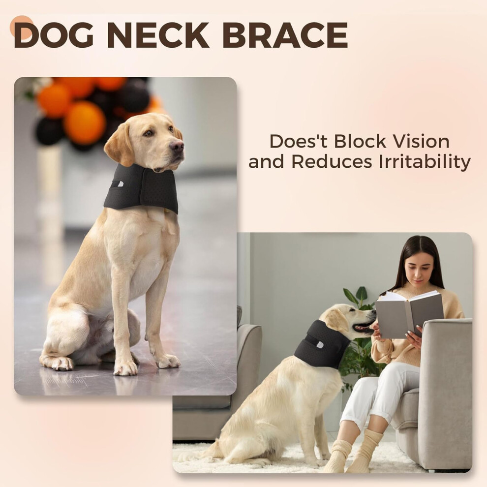 Protective dog collars after surgery best sale