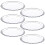 (6) 26cm Large Round Glass Dessert Plate Serving Set 1