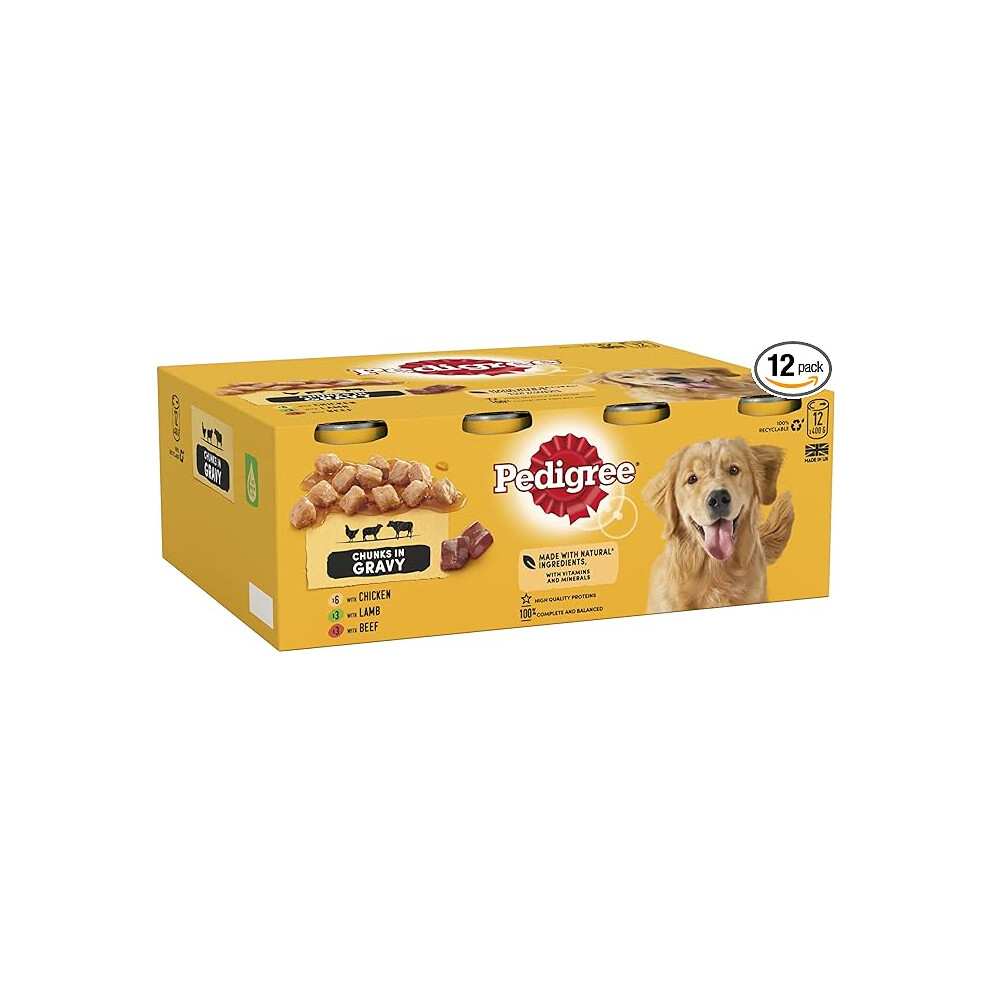 Pedigree Adult - Wet Dog Food - for Adult Dogs - Can Mixed Selection in Gravy - 12 x 400 g