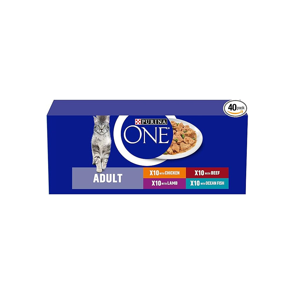 PURINA ONE Mini Fillets Mixed Selection in Gravy Wet Cat Food 40x85g