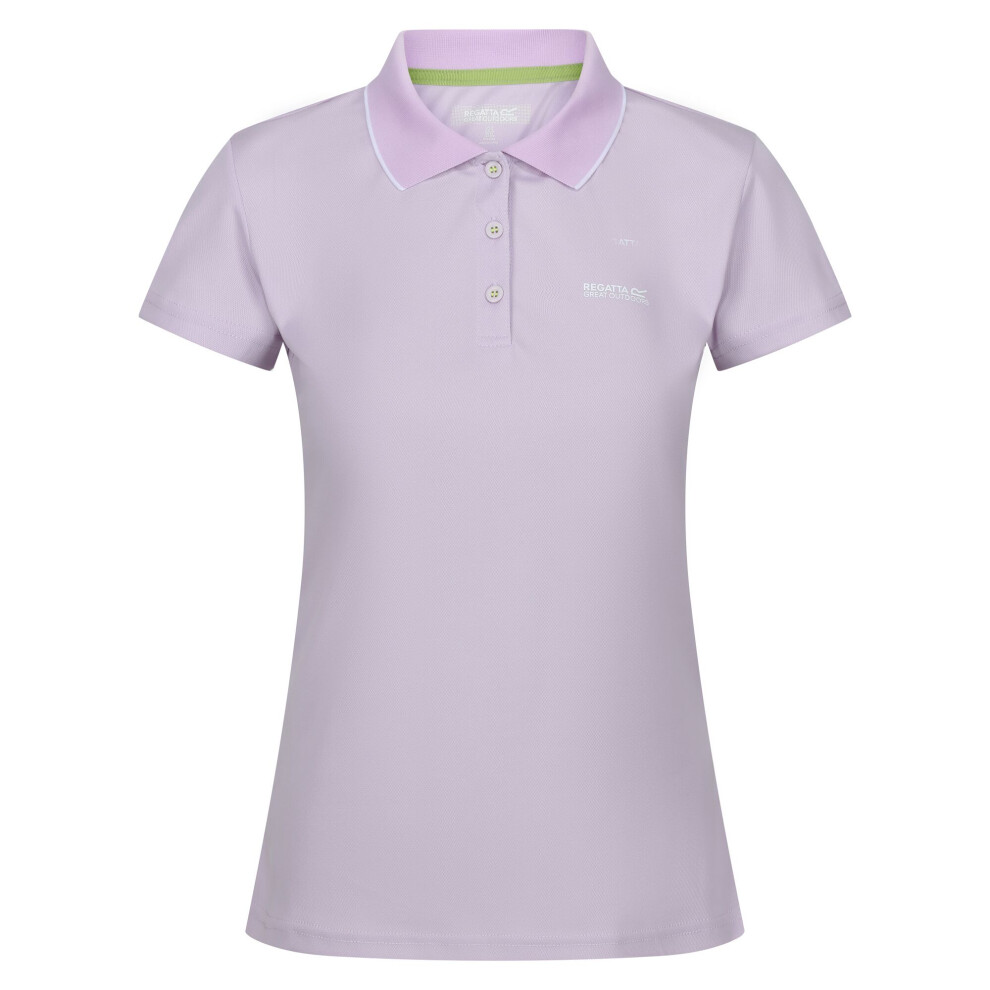 (8 UK, Lilac Frost) Regatta Womens/Ladies Maverick V Polo Shirt