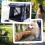 PawHut PawHut One-click Foldable Pet Stroller w/ Mesh Windows, for Small Pets - Blue 6