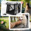 PawHut PawHut One-click Foldable Pet Stroller w/ Mesh Windows, for Small Pets - Grey 6