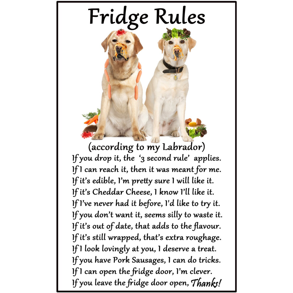 Fridge Magnets Labrador Yellow/Lab Gift - Fridge Rules - Large flexible Fun size 16cms x 10 cms (approx. 6" x4")