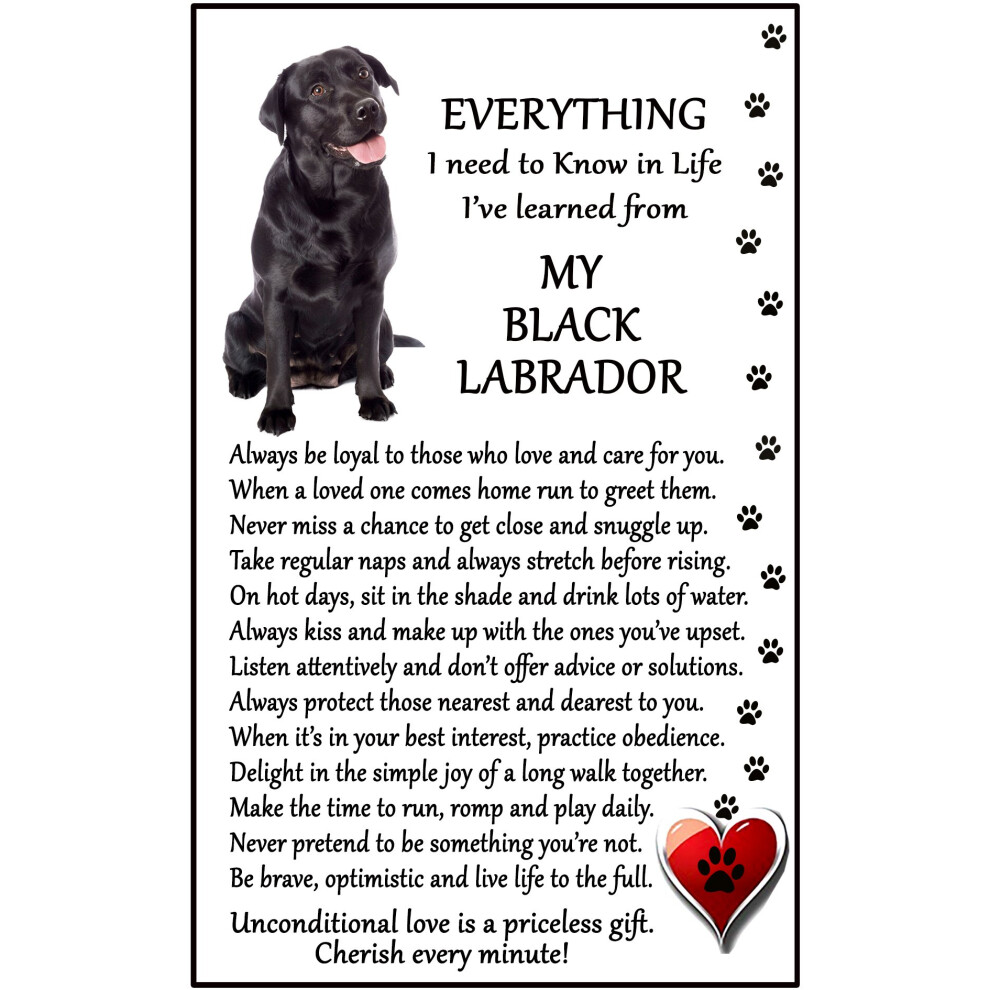 Fridge Magnets Black Lab, Labrador Lover (I Learned from my Black Lab) Gift - Large Fun flexible size 16cms x 10 cms (approx. 6" x4")