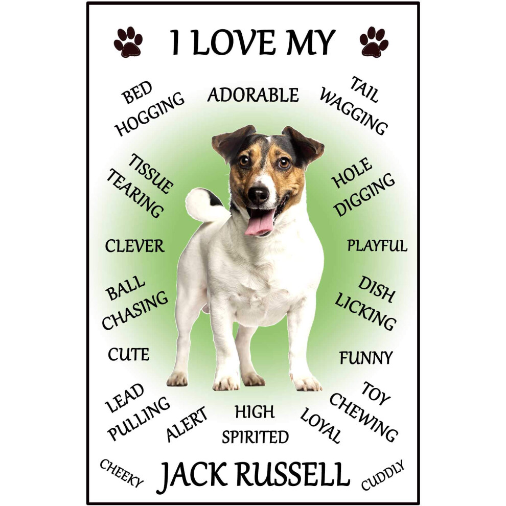 Jack Russell Terrier Gift - I Love My - Dog Character flexible Fridge Magnet- size 16cms x 10 cms (approx. 6" x4")