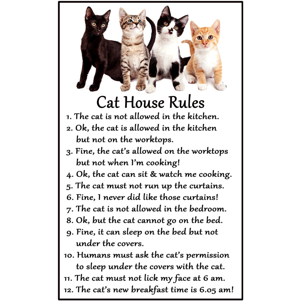 Cat Lover Gift - House Rules - Large Fun flexible Fridge Magnet- size 16cms x 10 cms (approx. 6" x4")