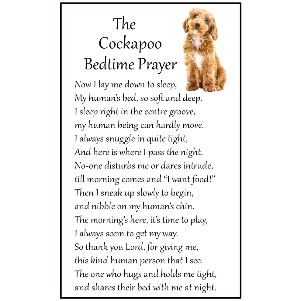 Cockapoo Bedtime Prayer for Dog Lovers - Large Fun flexible Fridge Magnet- size 16cms x 10 cms (approx. 6" x4")