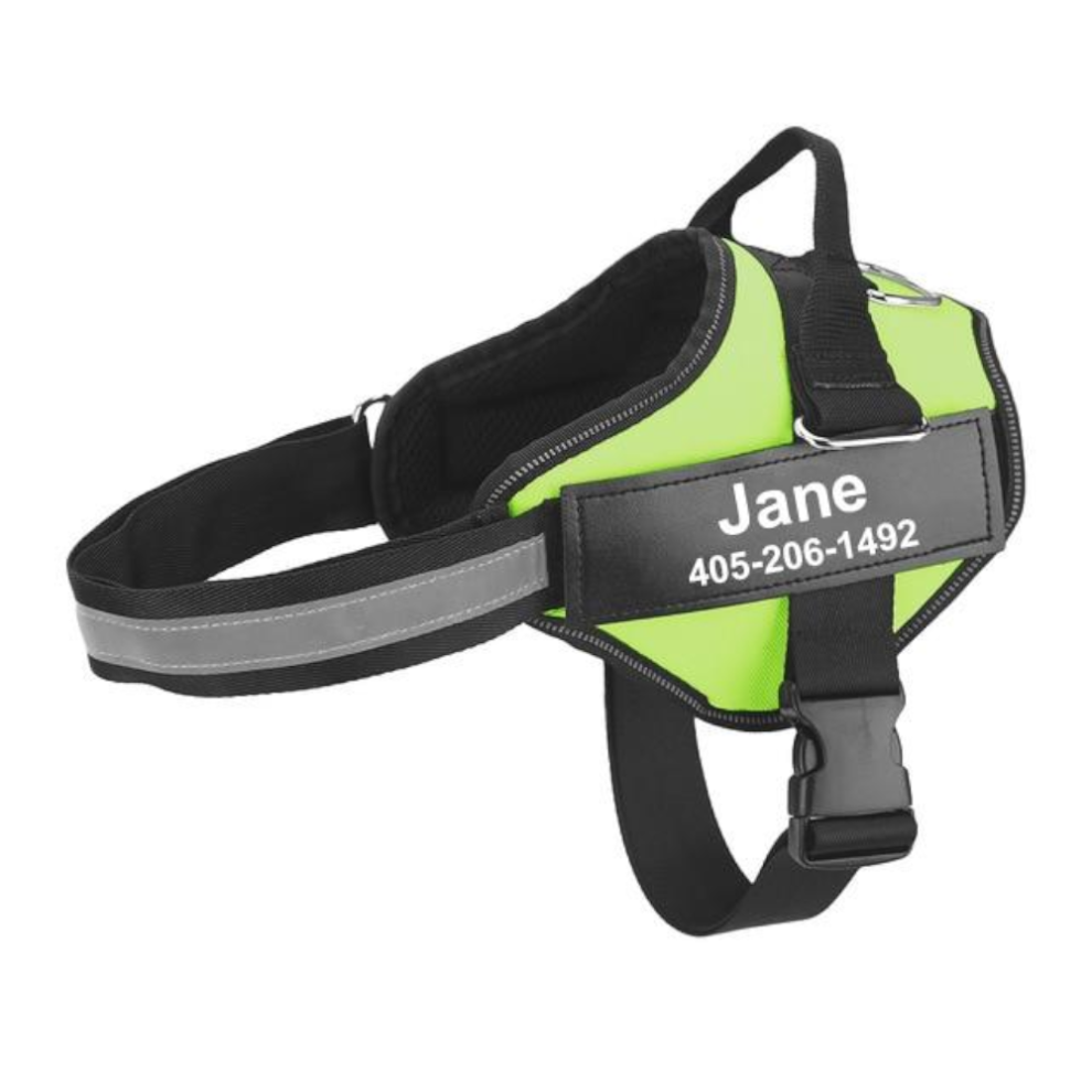 (Green, M) Easy Snap Reflective Dog Harness With Custom Id Patch