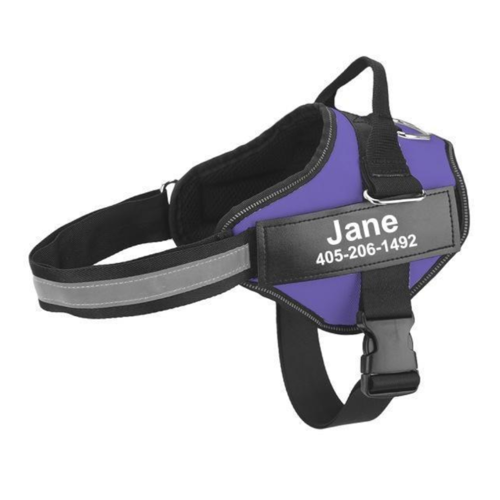 (Purple, S) Easy Snap Reflective Dog Harness With Custom Id Patch