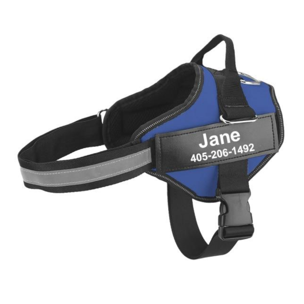 (Blue, XS) Easy Snap Reflective Dog Harness With Custom Id Patch