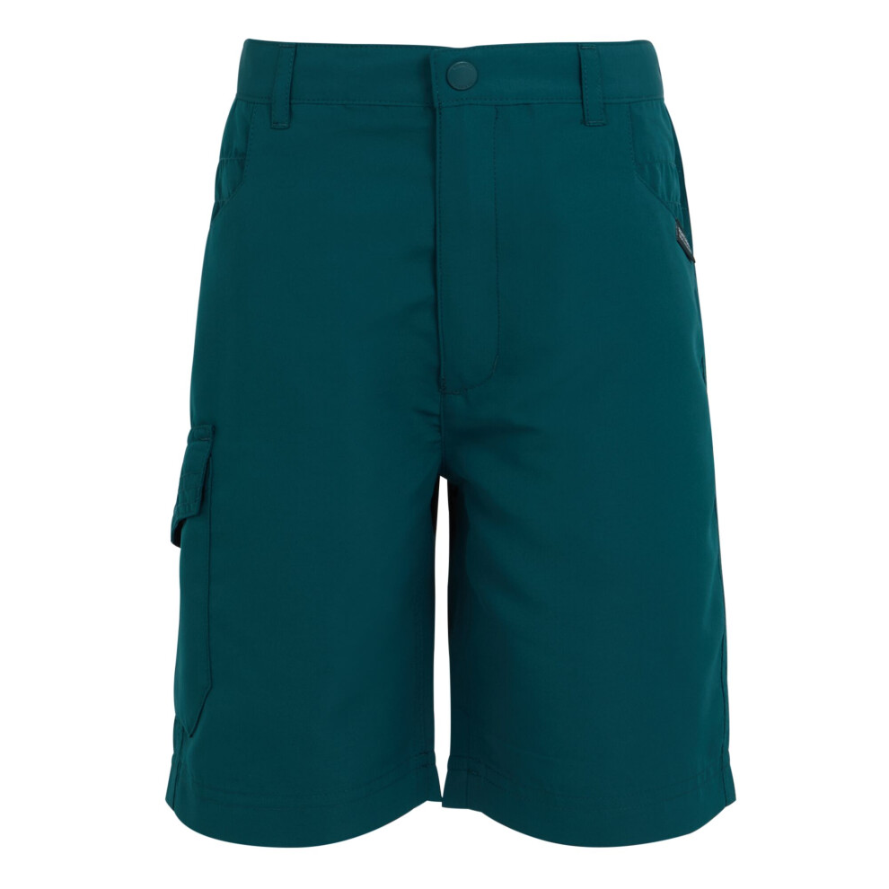 (14 Years, Moroccan Blue) Regatta Childrens/Kids Sorcer II Shorts