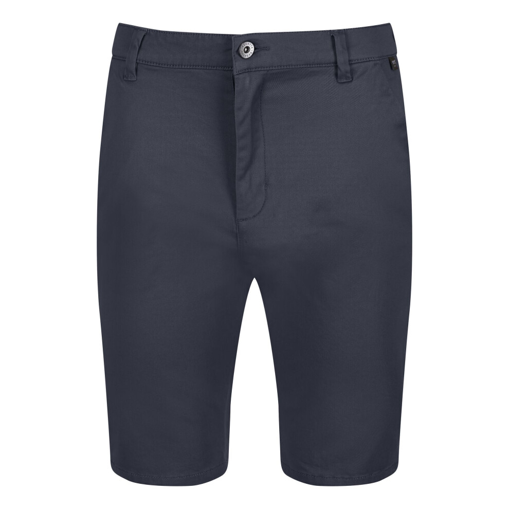 (38R, India Grey) Regatta Mens Sandros Shorts