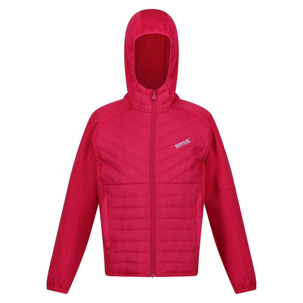 (15-16 Years, Pink Potion) Regatta Childrens/Kids Kielder Hybrid VI Jacket