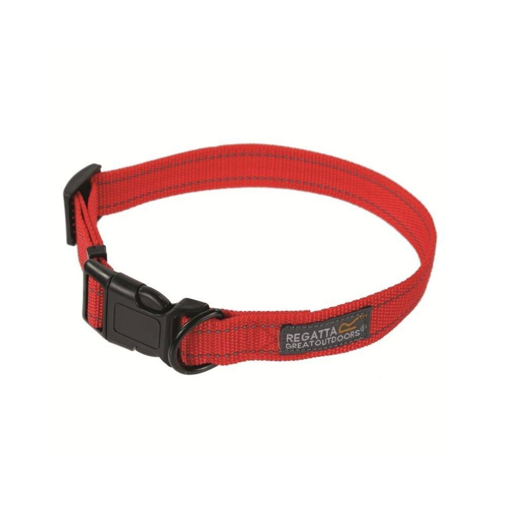 (30-55cm, Red) Regatta Comfort Dog Collar