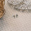 Philip Jones Jewellery Daisy Stud Earrings 4