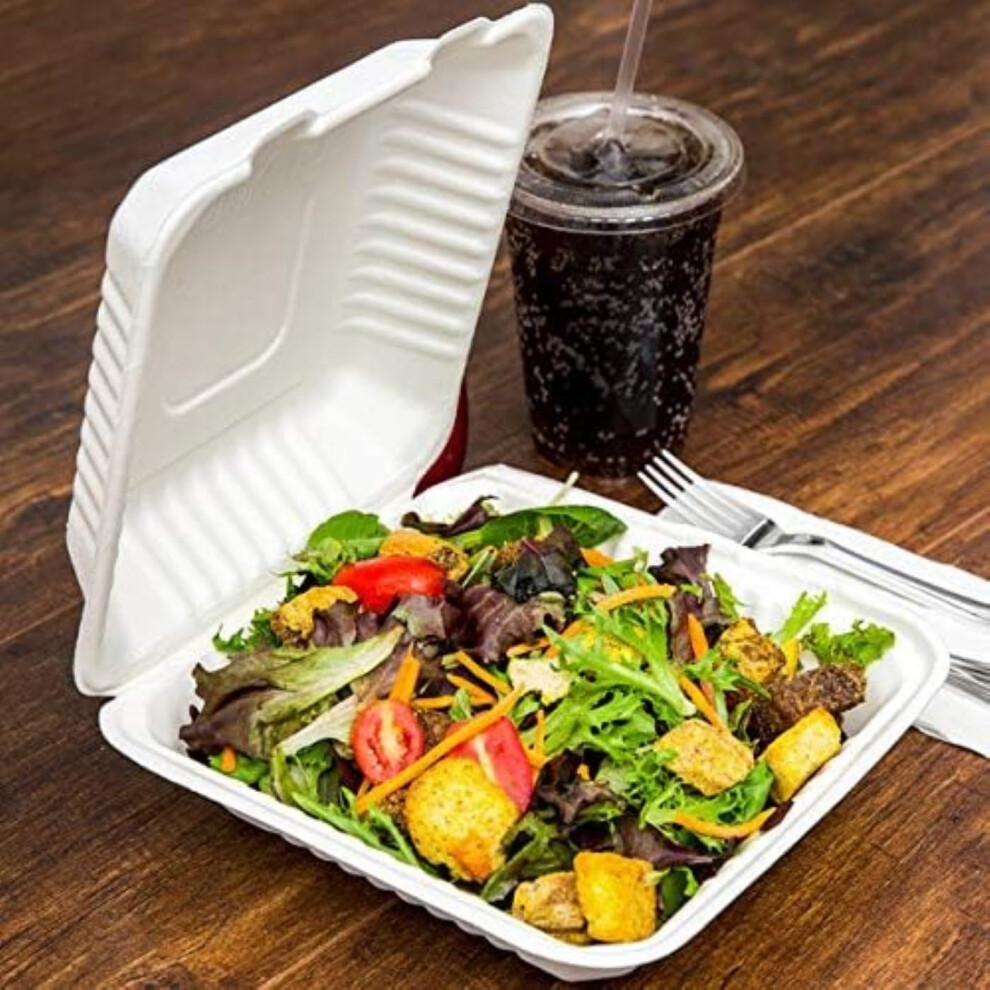 HOT BARGAINS 200 X 9 Inch Bagasse Meal Box Clamshell Takeaway Container Clean White Size (230x230x50mm/9x9'') Large Size For meal, take away,