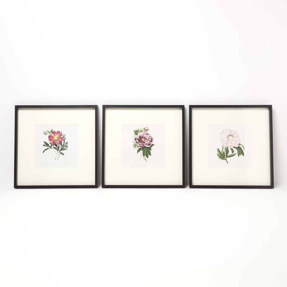 Wall Decoration Set of 3 Frames with Picture, Peonies