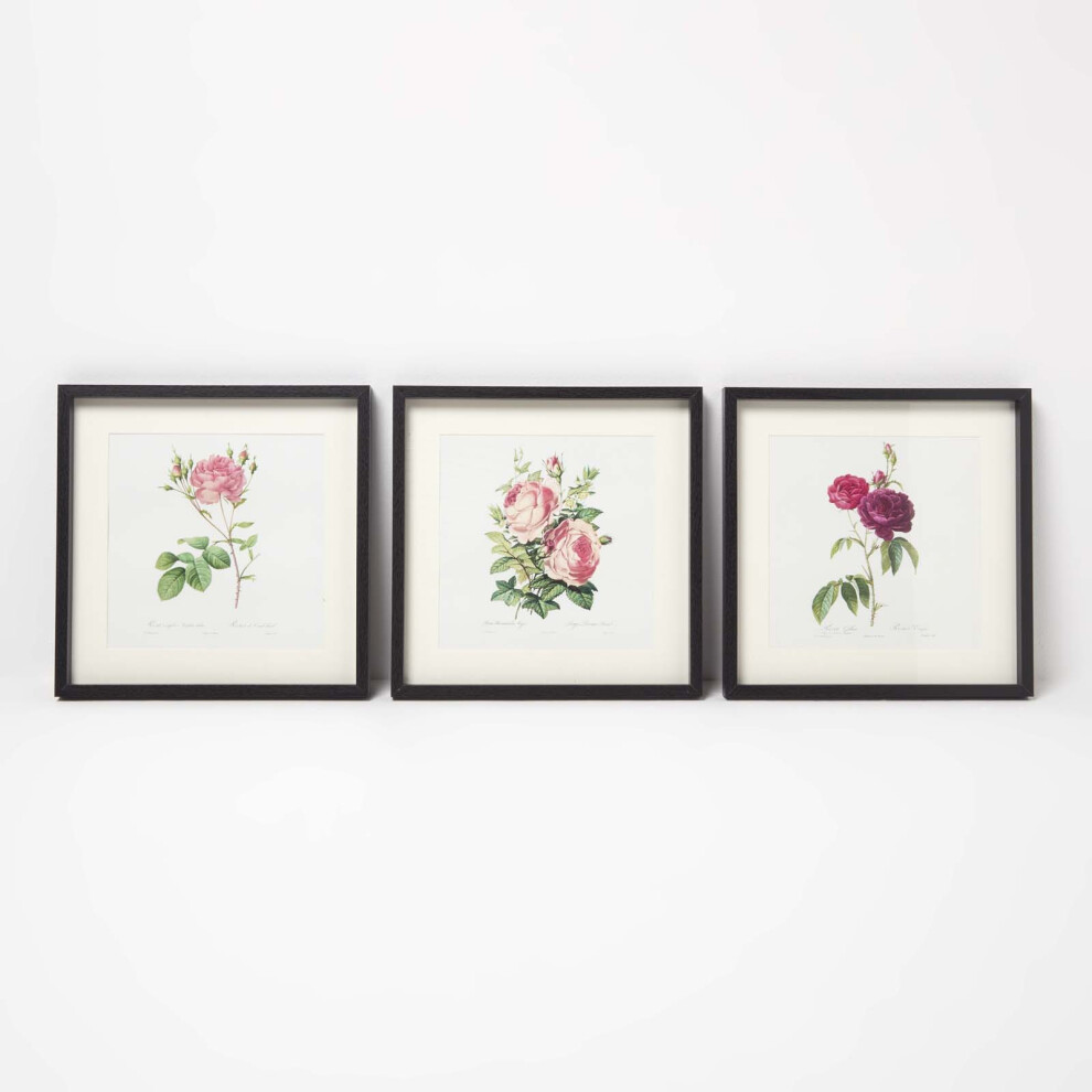 Wall Decoration Set of 3 Frames with Picture, Roses