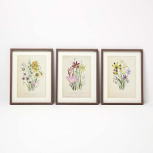 HOMESCAPES Wall Decoration Set of 3 Frames with Picture, Wildflowers