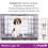 (Medium) Foldable Dog Crate with Microfibre Cloth - 5 sizes 1