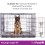 (XX-Large) Foldable Dog Crate with Microfibre Cloth - 5 sizes 1
