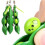 Sensorisch Groen Speelgoed Groene Bonen Fidget Bean Speelgoed 2