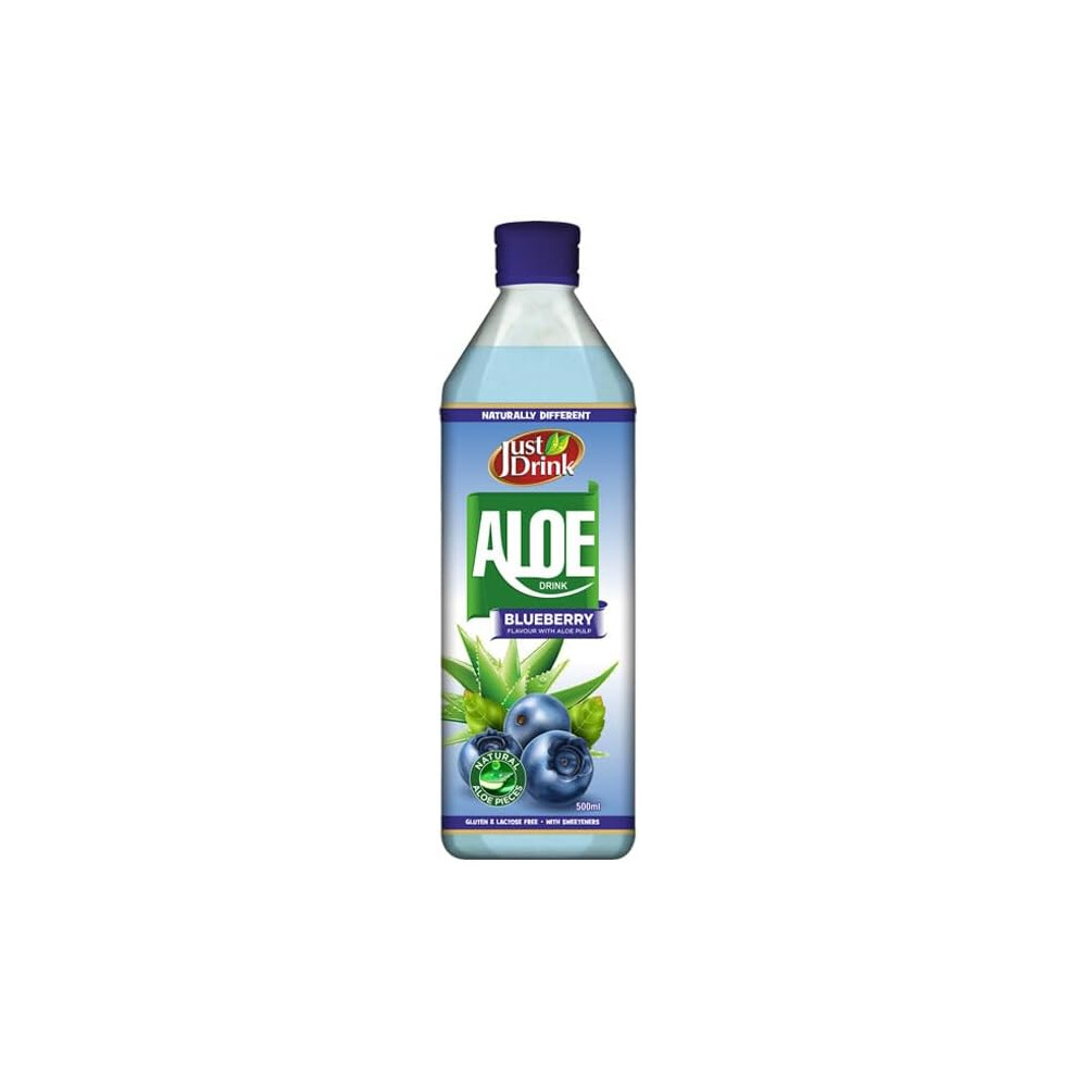 (Pack Of 12) JUST DRNK - ALOE DRINK BLUEBERRY 500ML