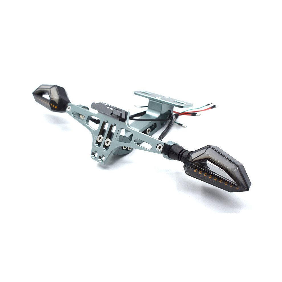 (Champagne) Motorcycle License Plate Bracket Cnc Aluminum Alloy With Led For Ktm 200 9177711656985