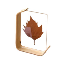 (02, 14x21cm) DIY Double Sided Acrylic Photo Frame Stand Herbarium Display Picture Frame Photo Holder For Tabletop Display Home Decoration