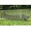 Net Set: Keep Net & Landing Net + Bank Stick 4