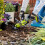 Ryobi Ryobi ONE+ Handheld Cultivator 18V RY18HCA-0 (Tool Only) 3